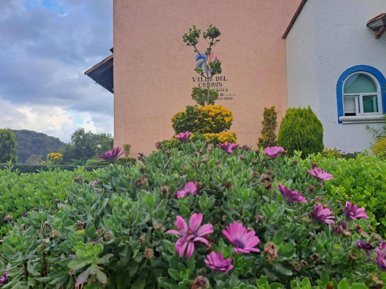 Finca San Fernando Вилья-дель-Карбон Экстерьер фото